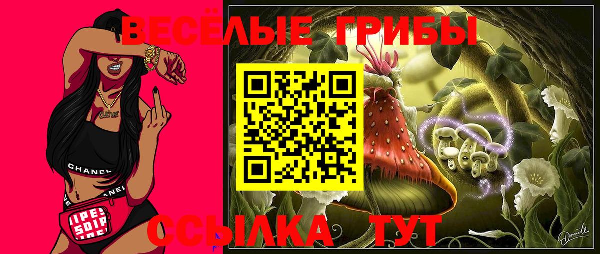 Калач-на-Дону  Псилоцибиновые грибы Psilocybine cubensis  где продают наркотики  Вход с VPN  Псилоцибиновые грибы мухоморы 